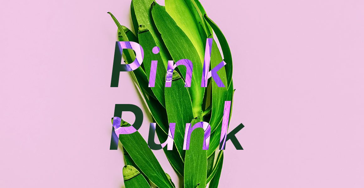 Pink Punk